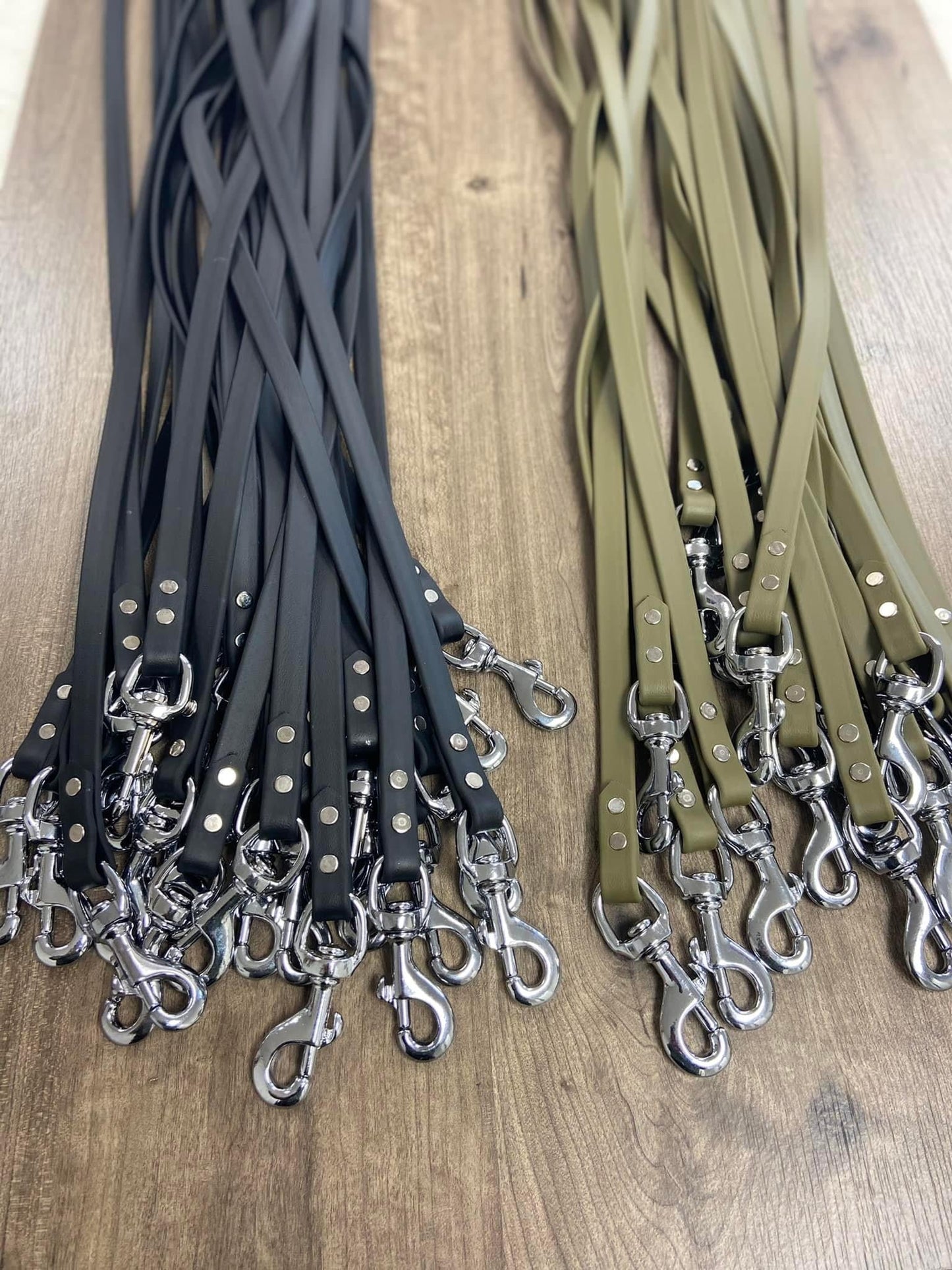 Biothane Leashes