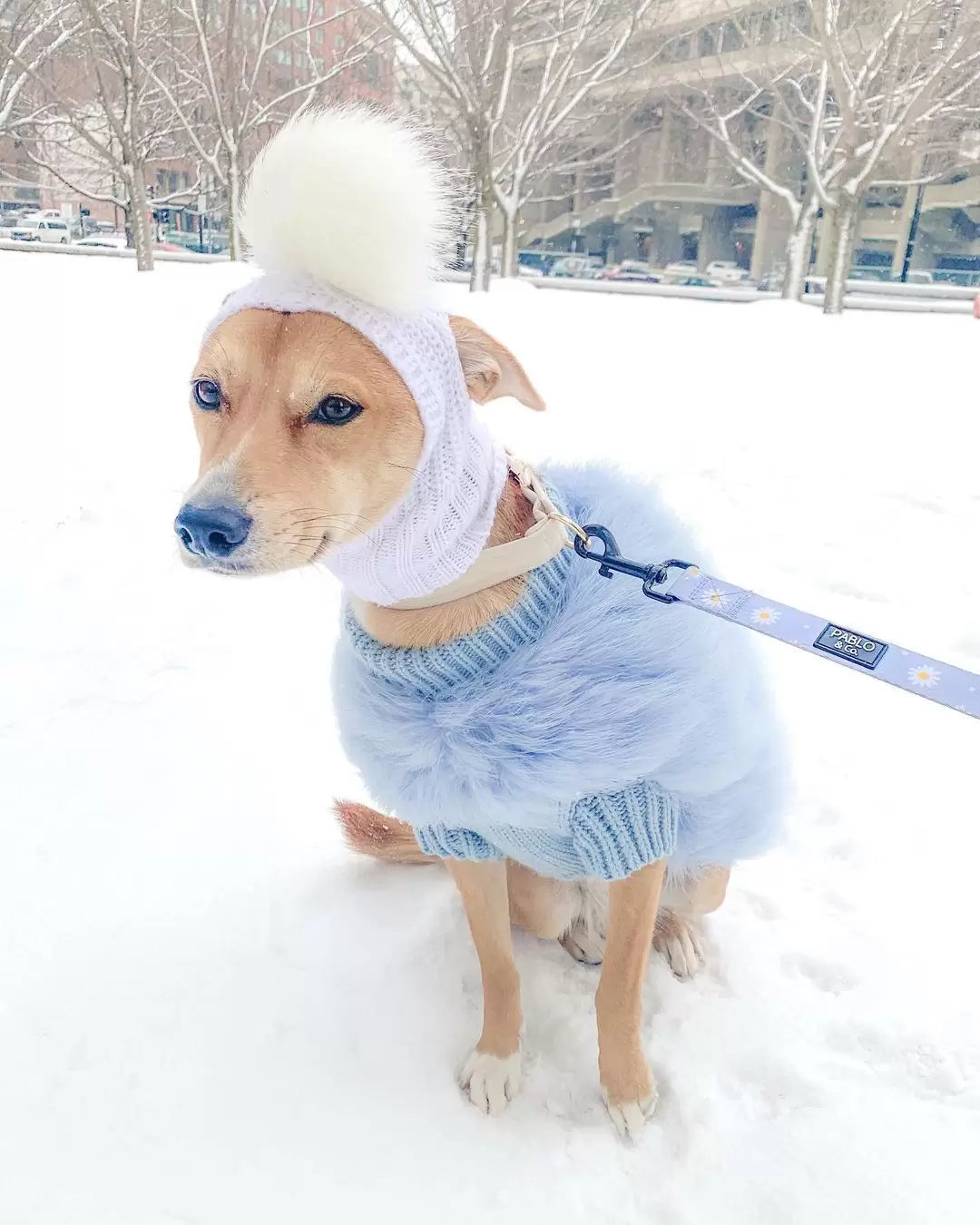 Feathered Luxury Pet Sweater – Haute Couture Dog & Cat Apparel