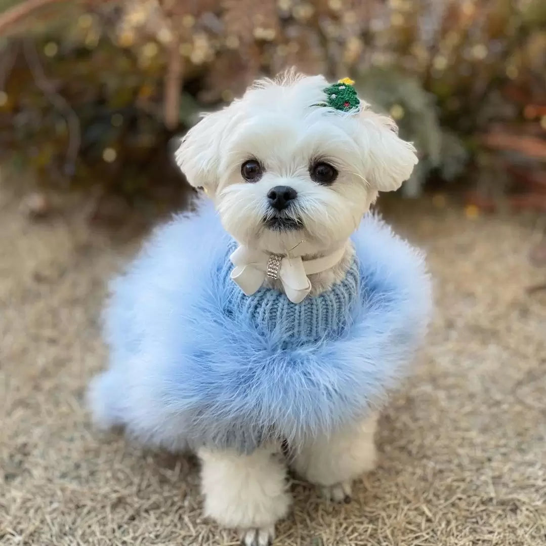 Feathered Luxury Pet Sweater – Haute Couture Dog & Cat Apparel