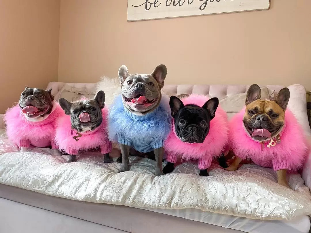 Feathered Luxury Pet Sweater – Haute Couture Dog & Cat Apparel