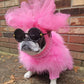 Feathered Luxury Pet Sweater – Haute Couture Dog & Cat Apparel