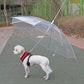 Rainwalk Pet Umbrella Leash – Keep Dogs Dry in Rain