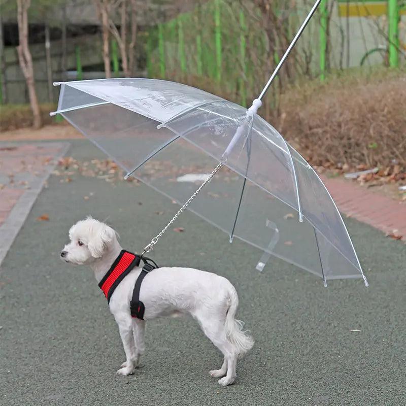Rainwalk Pet Umbrella Leash – Keep Dogs Dry in Rain