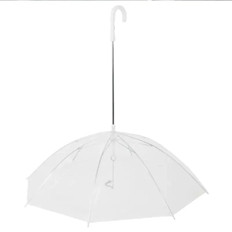 Rainwalk Pet Umbrella Leash – Keep Dogs Dry in Rain