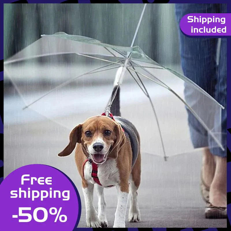 Rainwalk Pet Umbrella Leash – Keep Dogs Dry in Rain
