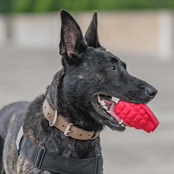 Grenade Shaped eDispenser Durable Dog Chew Toy & Treat Dispenser - Red & Blue